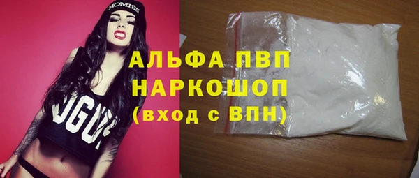 индика Аркадак