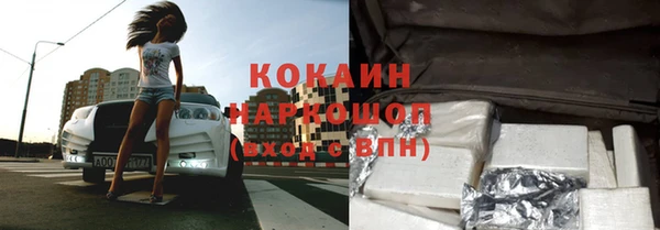 индика Алексин