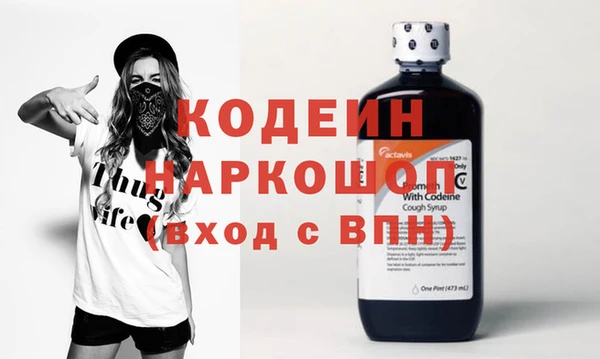 индика Алексин