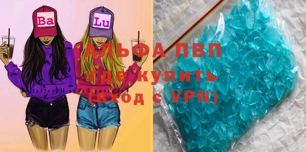 индика Аркадак