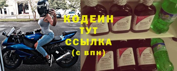 стафф Новодвинск