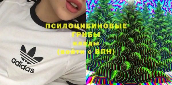 индика Аркадак