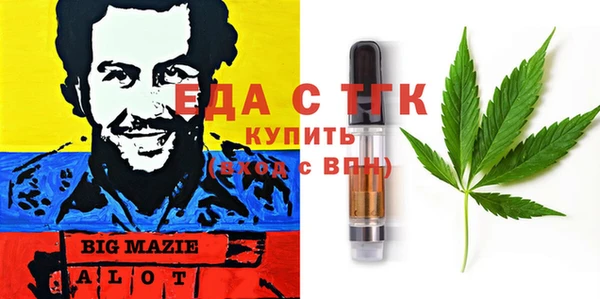 индика Аркадак