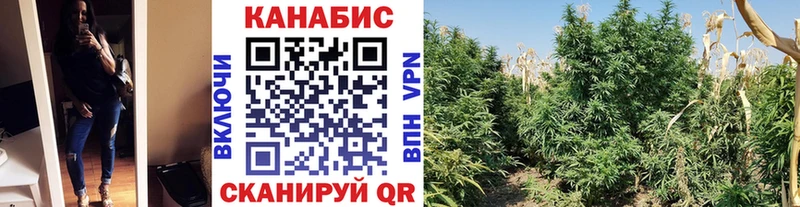 МАРИХУАНА семена  Фокино 
